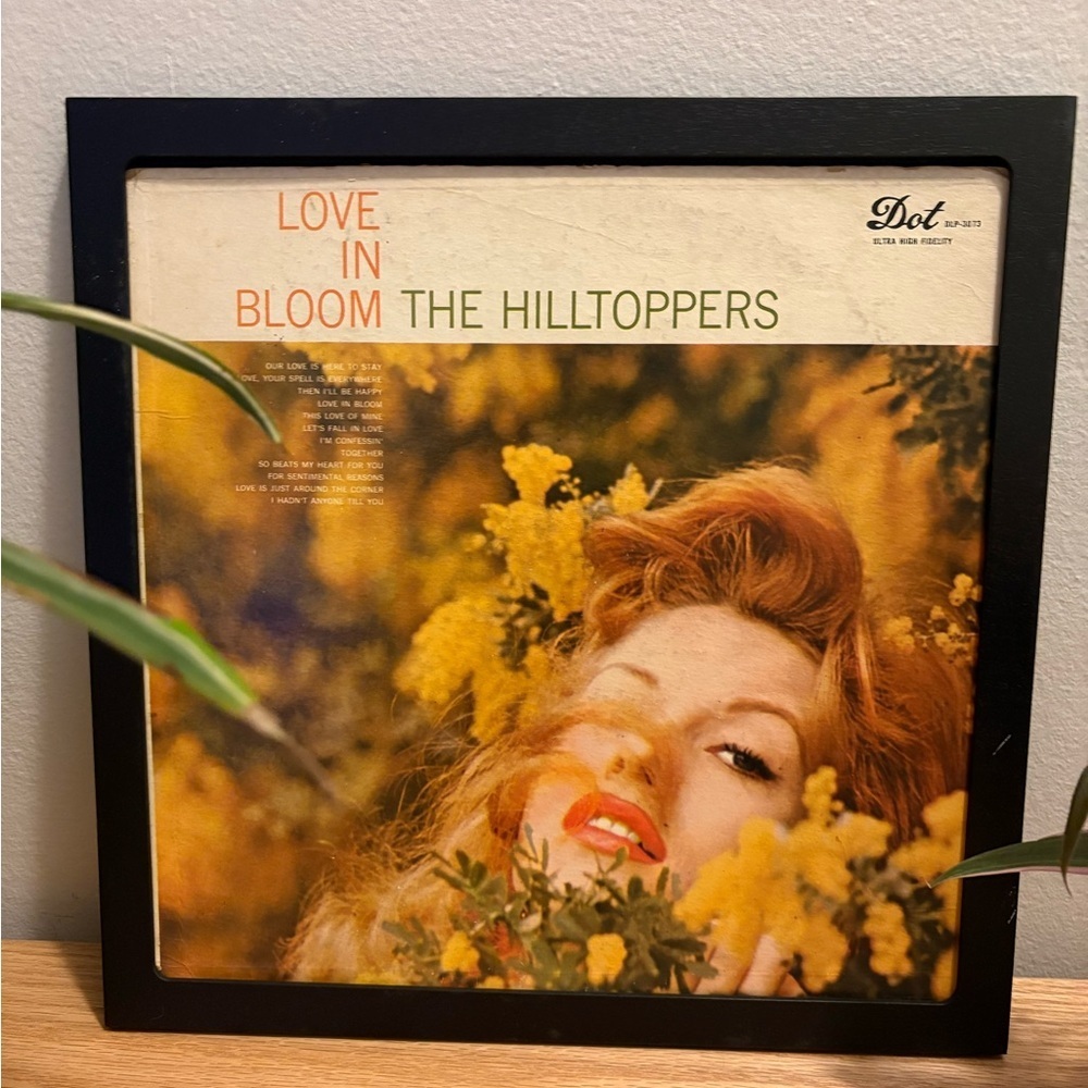 Stunning vintage album cover (framed) love in bloom, the hilltoppers